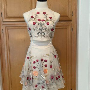 Bebe skirt and top size 4